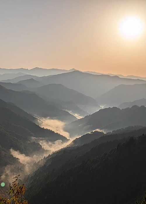 皆様、本年も有難うございました